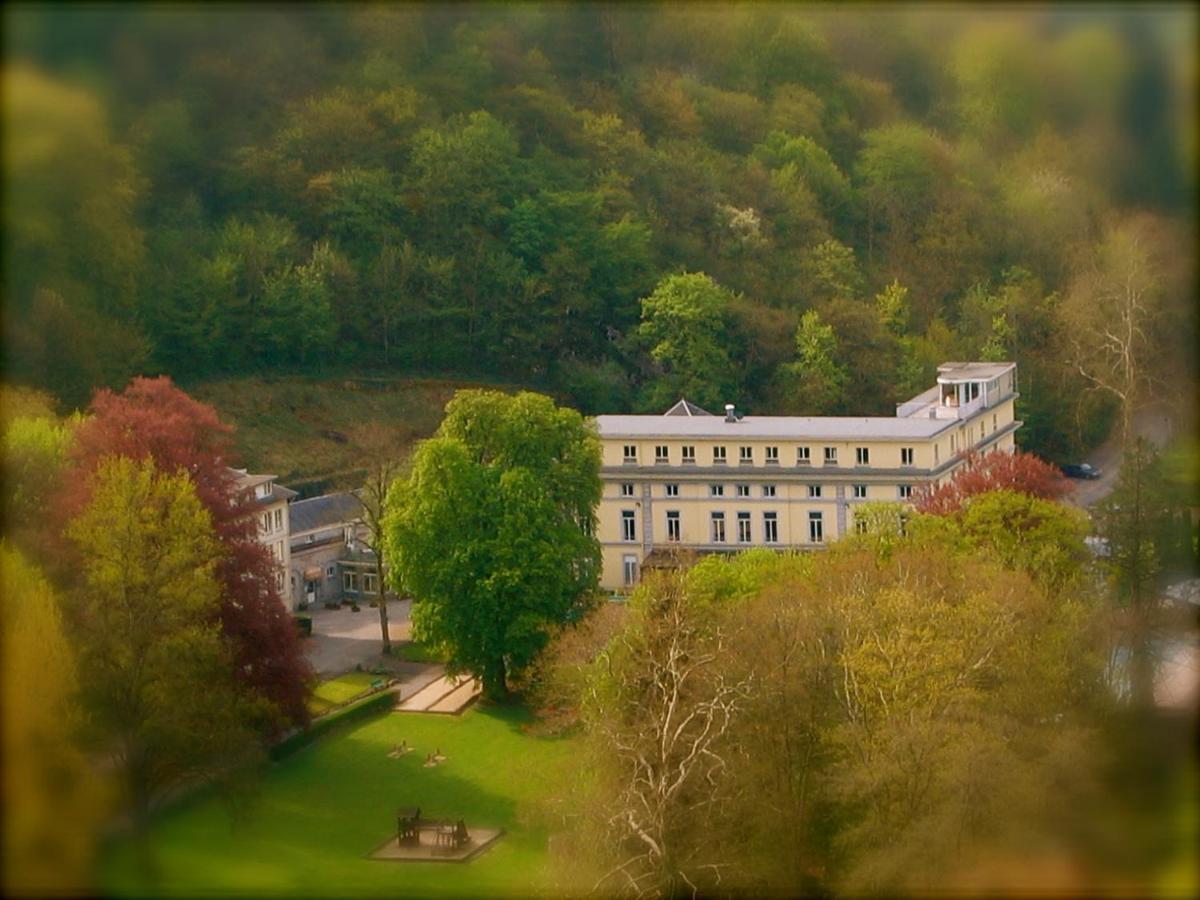 Castel De Pont-A-Lesse Hotel Dinant Bagian luar foto